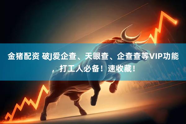 金猪配资 破J爱企查、天眼查、企查查等VIP功能，打工人必备！速收藏！