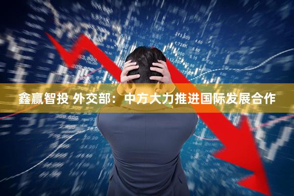 鑫赢智投 外交部：中方大力推进国际发展合作