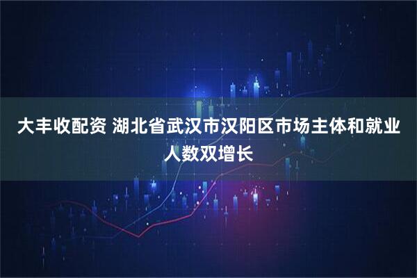大丰收配资 湖北省武汉市汉阳区市场主体和就业人数双增长