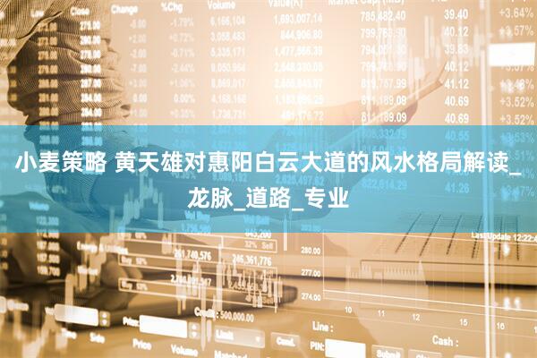 小麦策略 黄天雄对惠阳白云大道的风水格局解读_龙脉_道路_专业