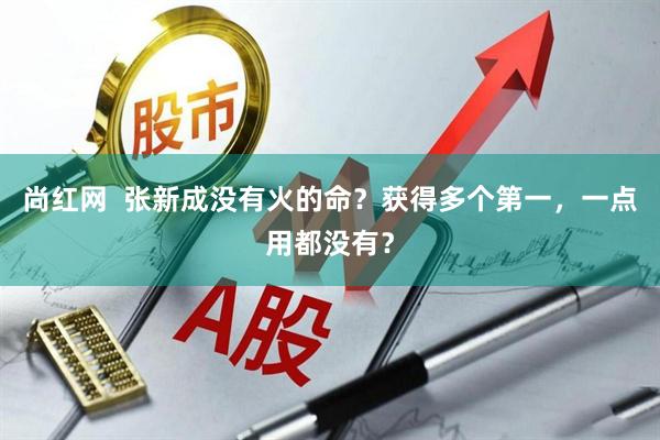 尚红网  张新成没有火的命？获得多个第一，一点用都没有？